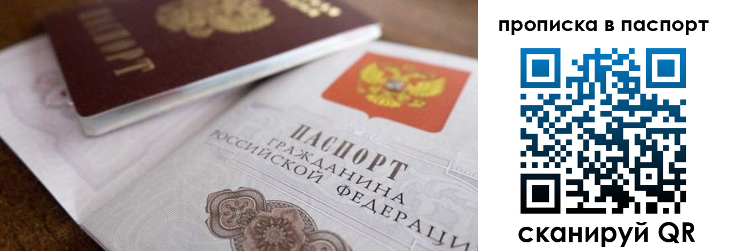 где прописаться в Нелидово